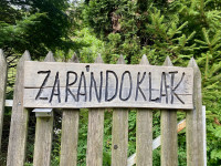 Kép szöveg
